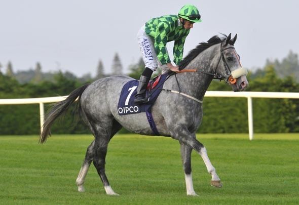 The Grey Gatsby Mad eager to get back to Britain QIPCO British Champions Series