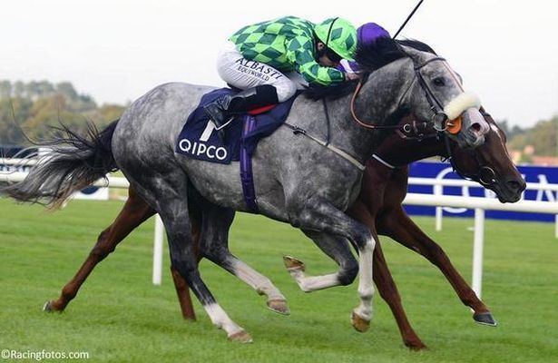 The Grey Gatsby The Grey Gatsby over Australia Race of the Year Zipse At The