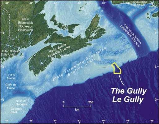 The Gully (Atlantic) wwwinterdfompogccafolios00256imagesGully