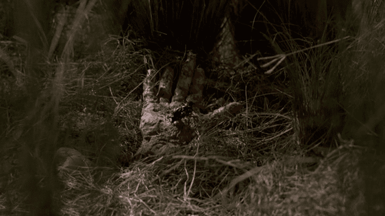 The Hand (1981 film) Life Between Frames Final Girl Film Club The Hand 1981