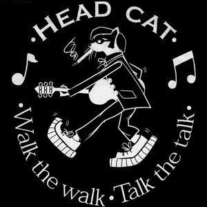 The Head Cat httpsa3imagesmyspacecdncomimages032be252b