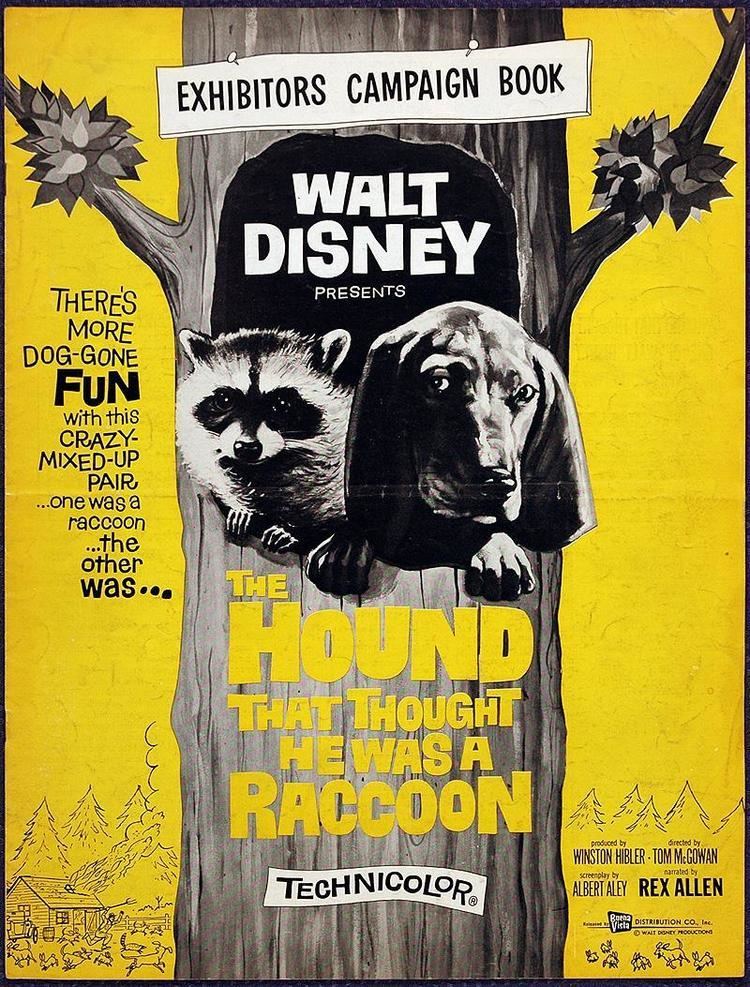 The Hound That Thought He Was a Raccoon auctionhowardlowerycom Disney THE HOUND THAT THOUGHT HE WAS A