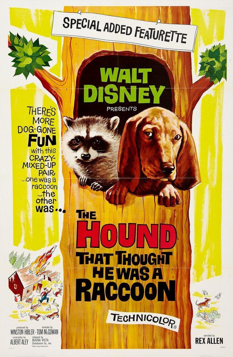 The Hound That Thought He Was a Raccoon The Hound That Thought He Was a Raccoon 1960 Posters of Animal