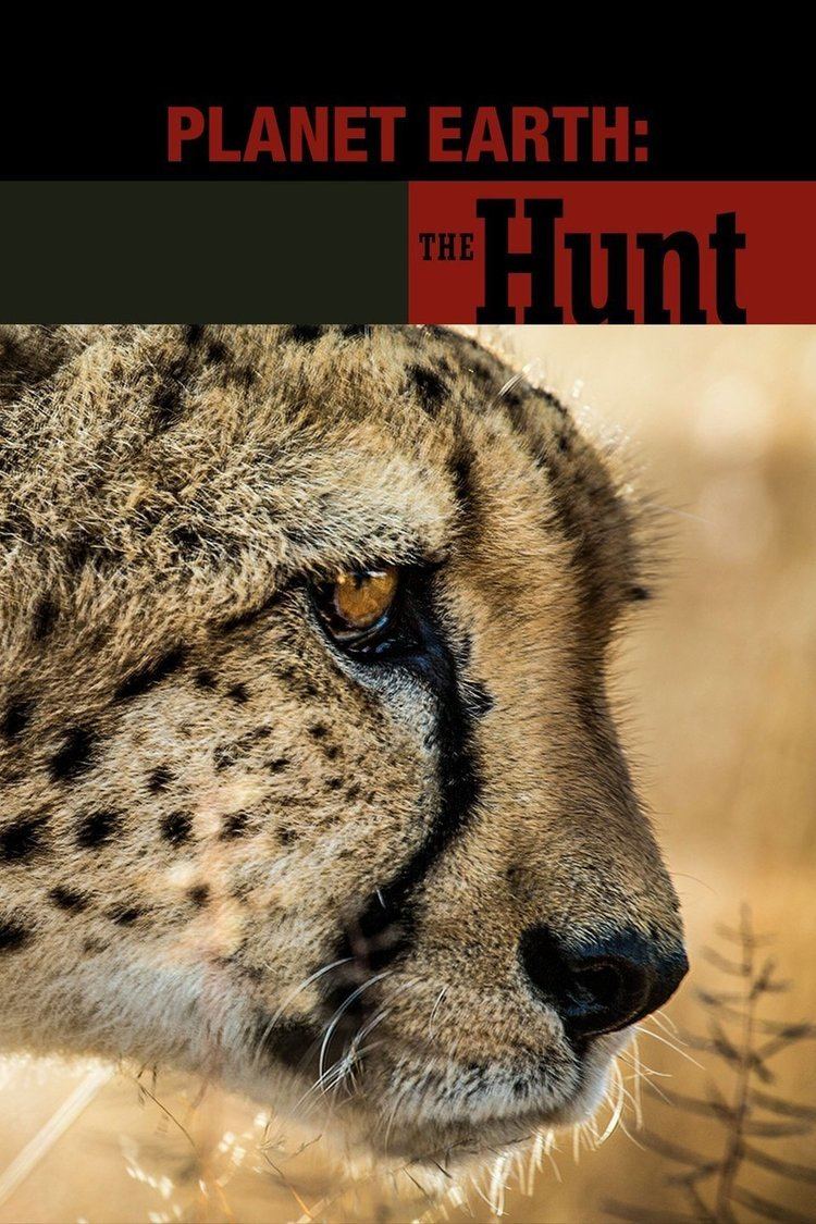 The Hunt (BBC series) wwwgstaticcomtvthumbtvbanners12256893p12256