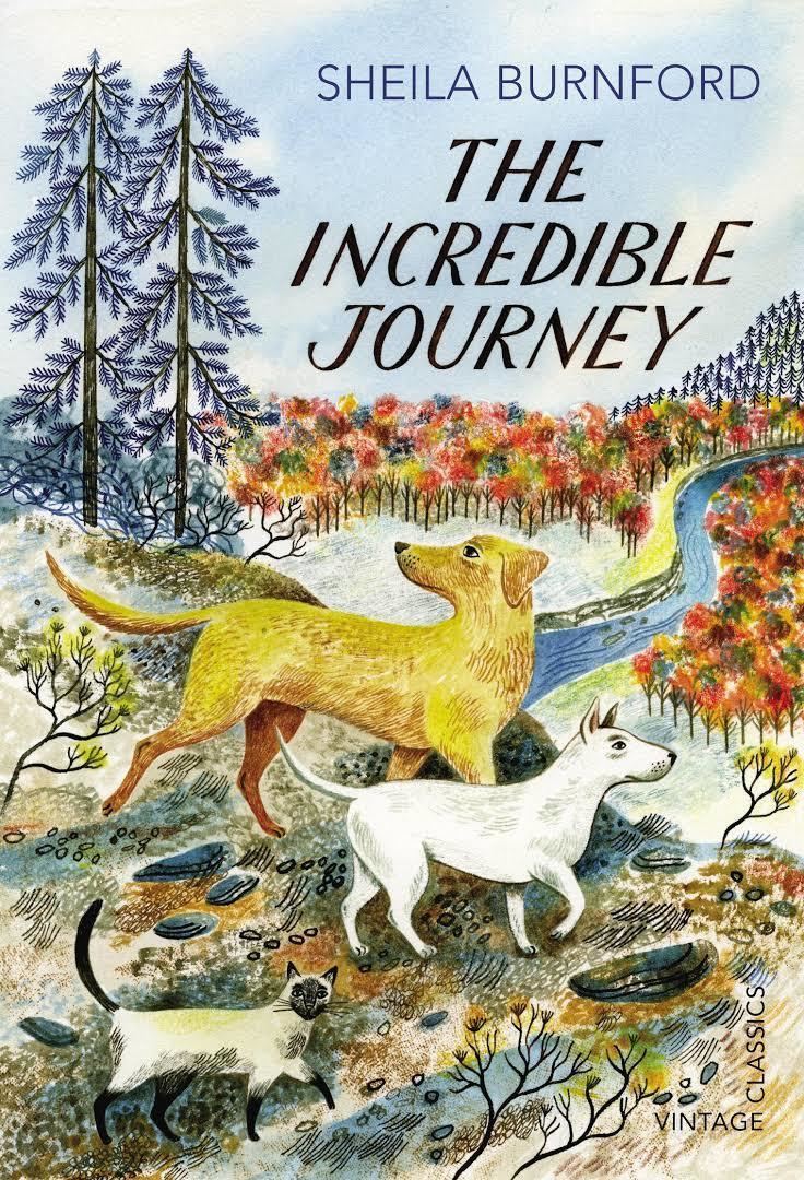 The Incredible Journey t3gstaticcomimagesqtbnANd9GcQFGa3mgzT8Lz7iT
