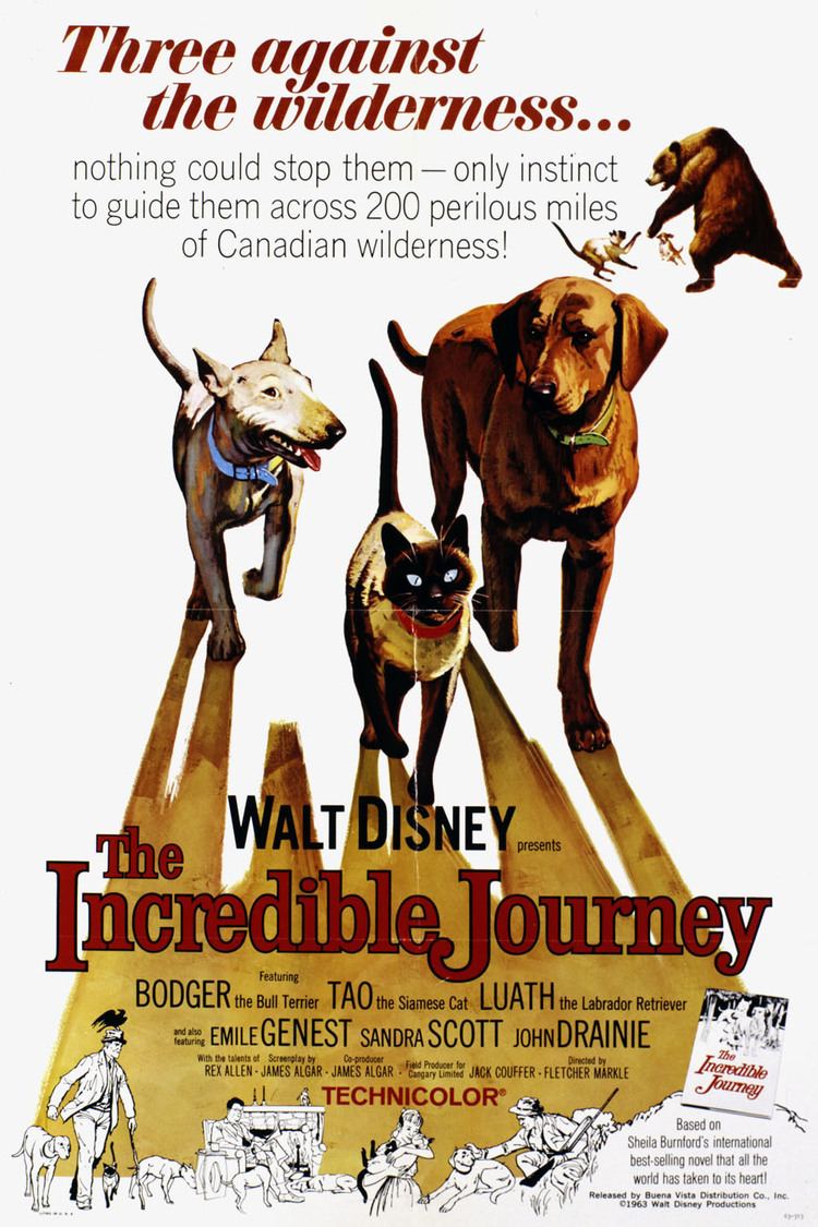 The Incredible Journey (film) wwwgstaticcomtvthumbmovieposters6957p6957p