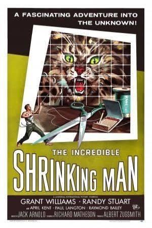 The Incredible Shrinking Man t2gstaticcomimagesqtbnANd9GcQZdXLa2DMpGjO7t