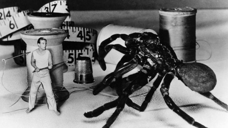 The Incredible Shrinking Man The Incredible Shrinking Man Film Society of Lincoln Center