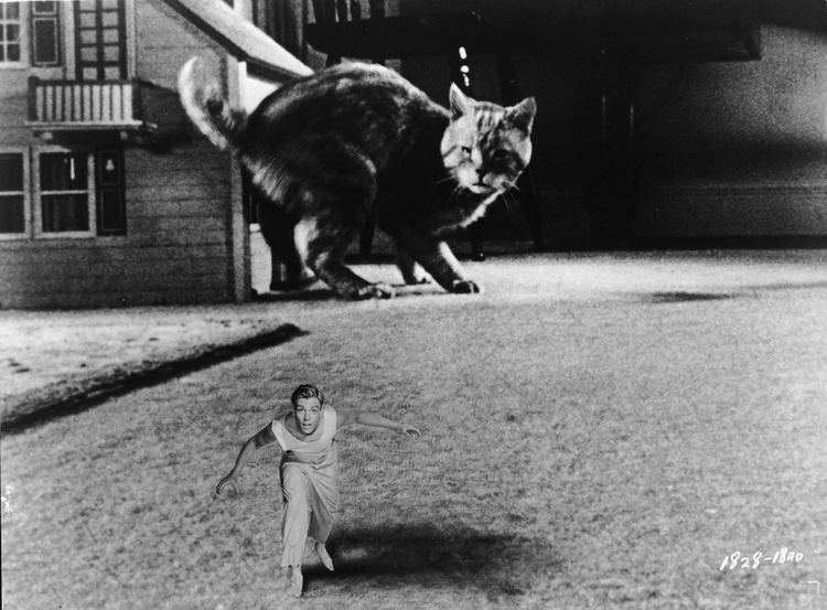 The Incredible Shrinking Man 1957 The Incredible Shrinking Man Film 1950s The Red List