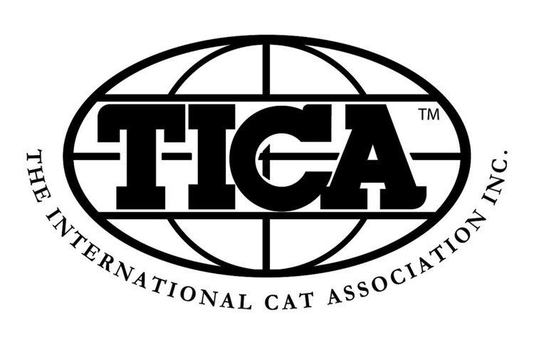 The International Cat Association