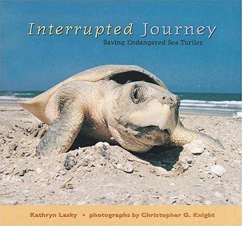 The Interrupted Journey Interrupted Journey Saving Endangered Sea Turtles Lexile Find a