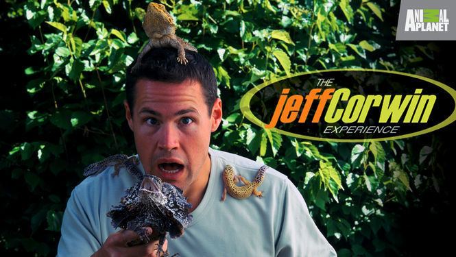 The Jeff Corwin Experience The Jeff Corwin Experience 2000 for Rent on DVD DVD Netflix