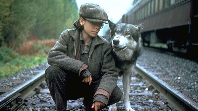 The Journey of Natty Gann the journey of natty gann hashtag Images on Tumblr GramUnion