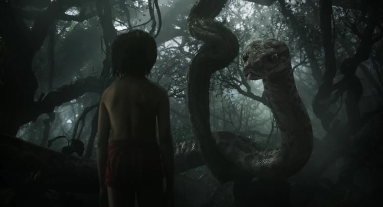 The Jungle Book (2016 film) The Jungle Book 2016 IMDb