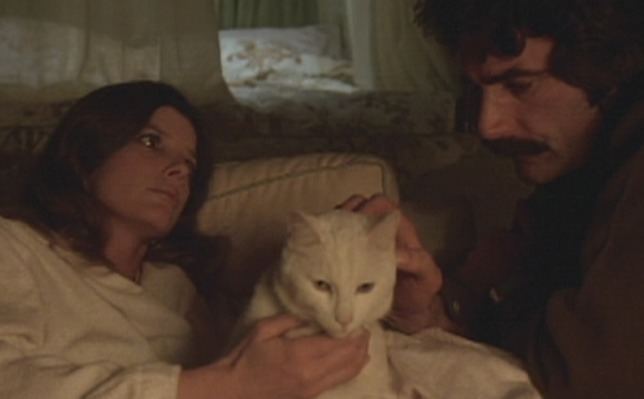 The Legacy (1978 film) The Legacy 1978 Cinema Cats