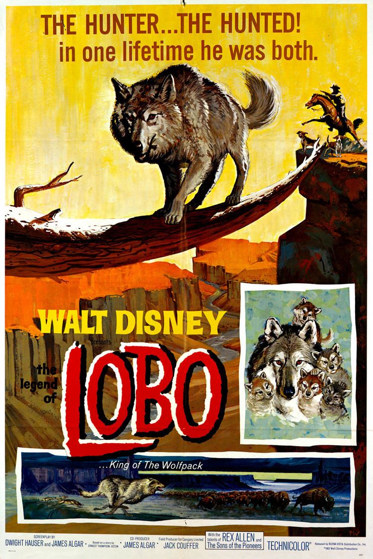 The Legend of Lobo wwwgstaticcomtvthumbmovieposters6503p6503p