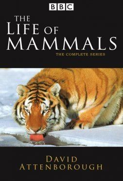 The Life of Mammals The Life of Mammals Air dates and episodes TV Fort