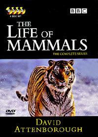The Life of Mammals The Life of Mammals Wikipedia