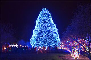 The Lights Before Christmas httpssmediacacheak0pinimgcomoriginals2c