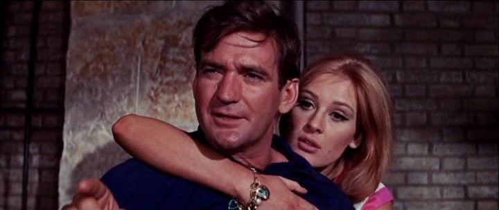 The Liquidator (1965 film) The Liquidator 1965 Jack Cardiff Rod Taylor Trevor Howard Jill