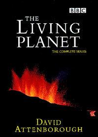 The Living Planet httpsuploadwikimediaorgwikipediaenddaAtt