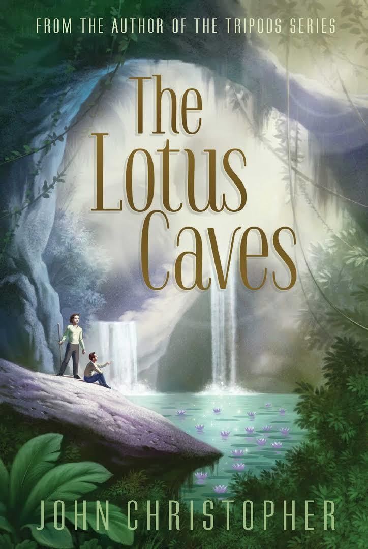 The Lotus Caves t1gstaticcomimagesqtbnANd9GcSRnGwZGrFLb6P7r