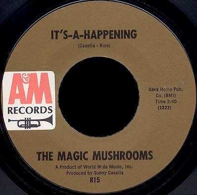 The Magic Mushrooms wwwgaragehangovercomimages5MagicMushroomsAM45I