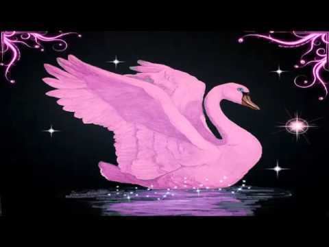 The Magic Swan httpsiytimgcomvi2jy1OVchqewhqdefaultjpg