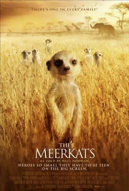 The Meerkats The Meerkats Wikipedia