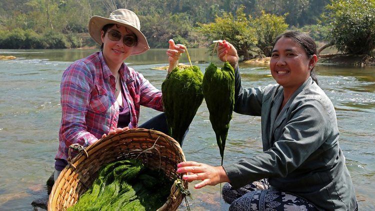 The Mekong River with Sue Perkins httpsichefbbcicoukimagesic976x549bp02c4