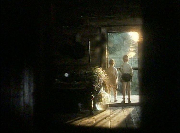 The Mirror (1975 film) Mirror Zerkalo Tarkovsky 1975 Aesthetics Of The Mind