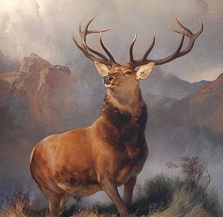 The Monarch of the Glen (painting) httpsuploadwikimediaorgwikipediacommonsthu