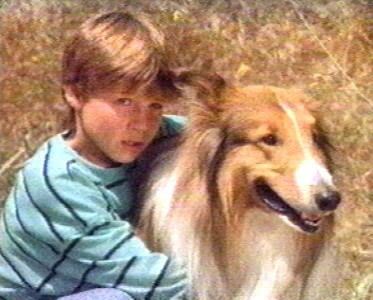 The New Lassie Lisa Bloom Cohen Composer