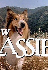 The New Lassie The New Lassie TV Series 19891992 IMDb