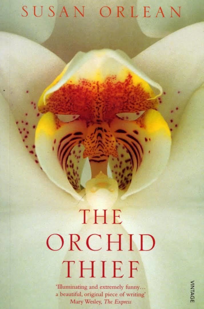 The Orchid Thief t2gstaticcomimagesqtbnANd9GcRotwoszmo1Qro4F