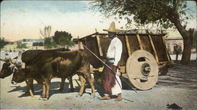 The Oxen and the Creaking Cart