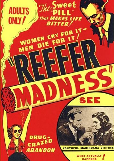 The Pace That Kills Download The Madness Trilogy Reefer Madness Tell Your Children