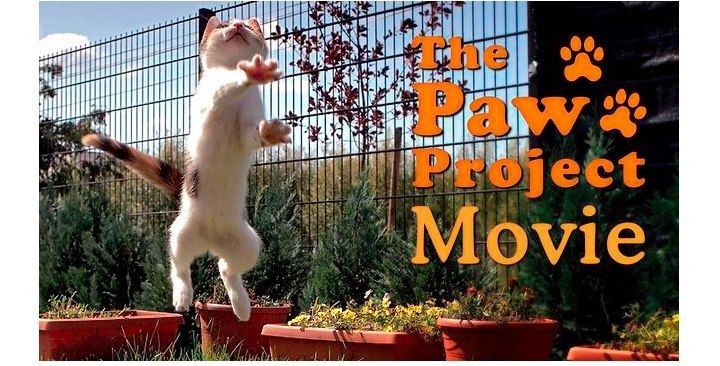The Paw Project movie scenes paw project movie Sadly in this game you typically don t get three strikes With just two strikes the cat is out relinquished or returned to a 
