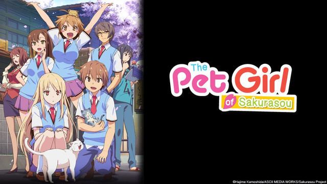 The Pet Girl of Sakurasou Crunchyroll Crunchyroll to Stream quotThe Pet Girl of Sakurasouquot Anime