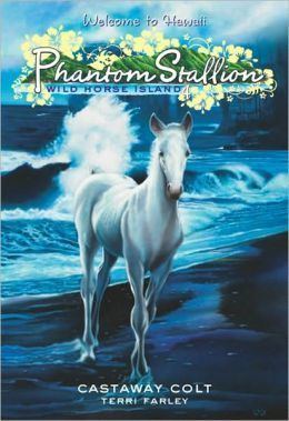 The Phantom Stallion The Phantom Stallion Wild Horse Island Castaway Colt