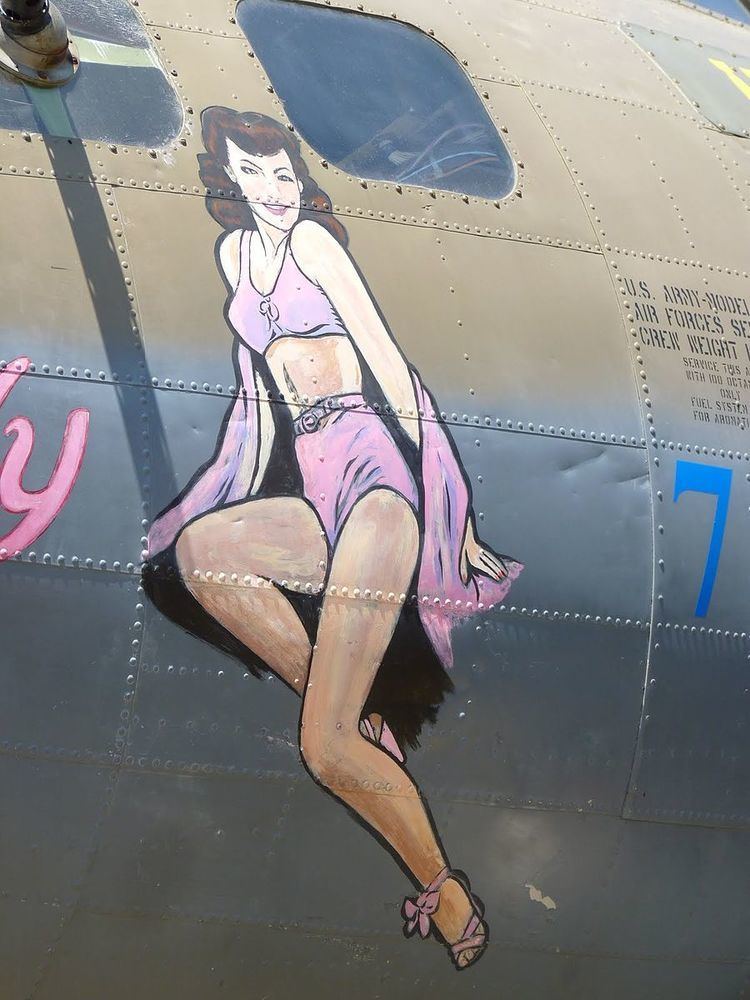 The Pink Lady (aircraft)