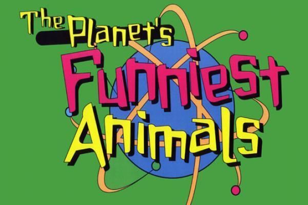 The Planet's Funniest Animals The Planet39s Funniest Animals etv