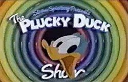 The Plucky Duck Show httpsuploadwikimediaorgwikipediaenthumb4