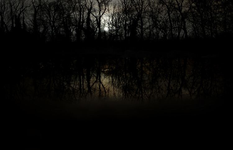 The Pond—Moonlight The PondMoonlight 1st attempt A digital remake of the Flickr