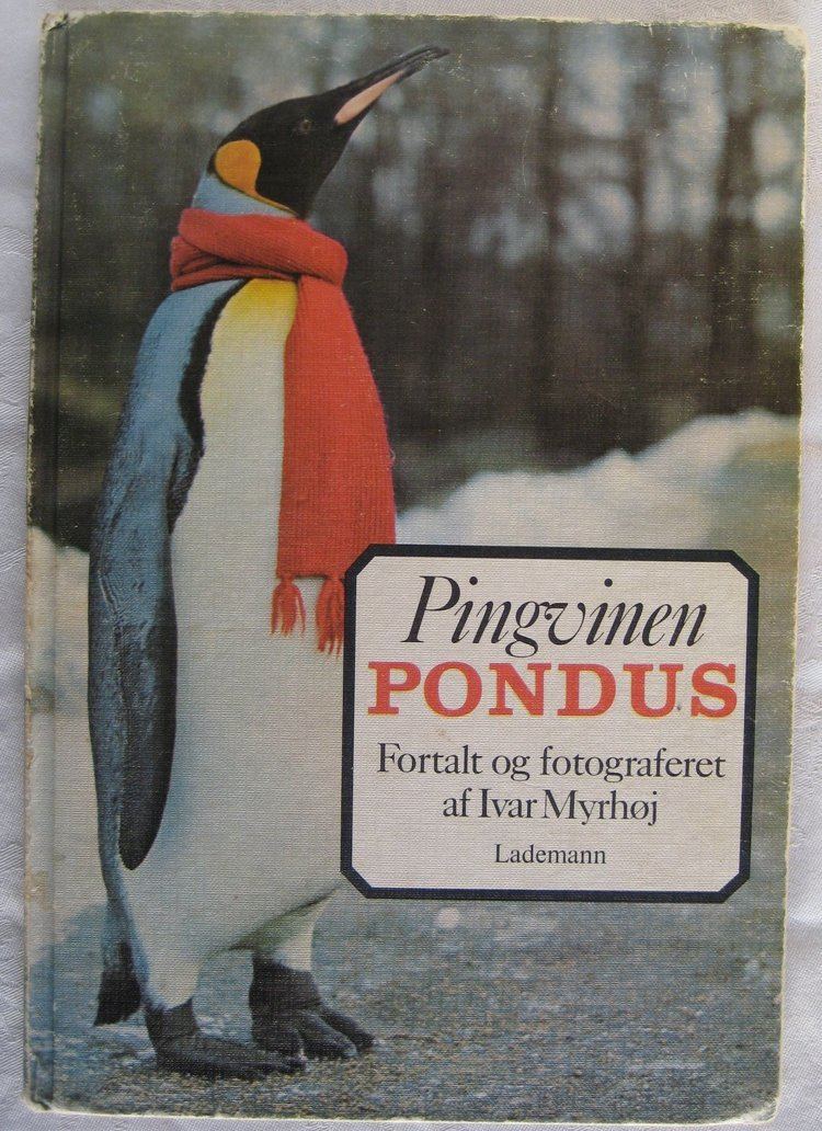 The Pondus Penguin scandikitchentypepadcoma6a00e5521f4a688834015