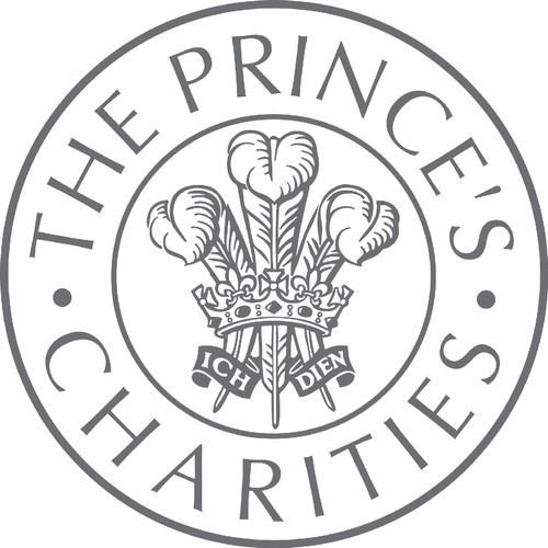 The Prince's Charities httpspbstwimgcomprofileimages306937131gre