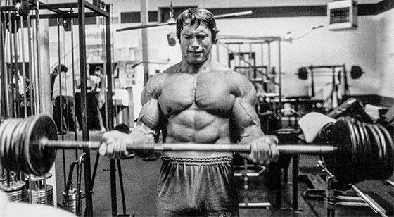 The Professional Bodybuilder of Century Mr Universe ARNOLD SCHWARZENEGGER The Professional Bodybuilder of Century Mr Universe ARNOLD SCHWARZENEGGER