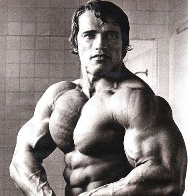 The Professional Bodybuilder of Century Mr Universe ARNOLD SCHWARZENEGGER The Professional Bodybuilder of Century Mr Universe ARNOLD SCHWARZENEGGER