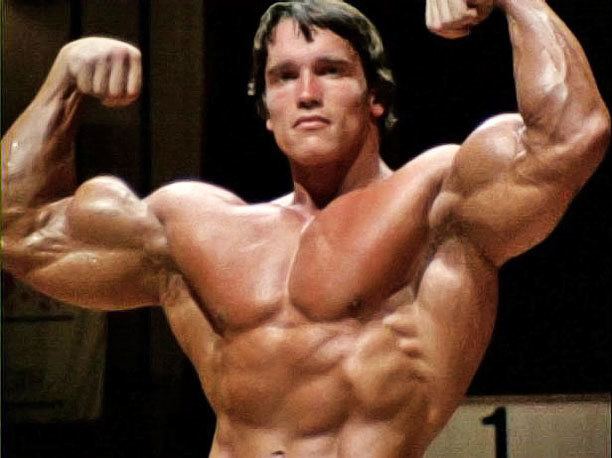 The Professional Bodybuilder of Century Mr Universe ARNOLD SCHWARZENEGGER The Professional Bodybuilder of Century Mr Universe ARNOLD SCHWARZENEGGER