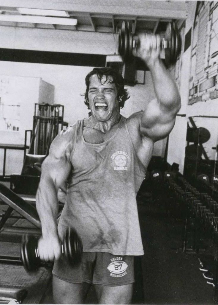 The Professional Bodybuilder of Century Mr Universe ARNOLD SCHWARZENEGGER The Professional Bodybuilder of Century Mr Universe ARNOLD SCHWARZENEGGER